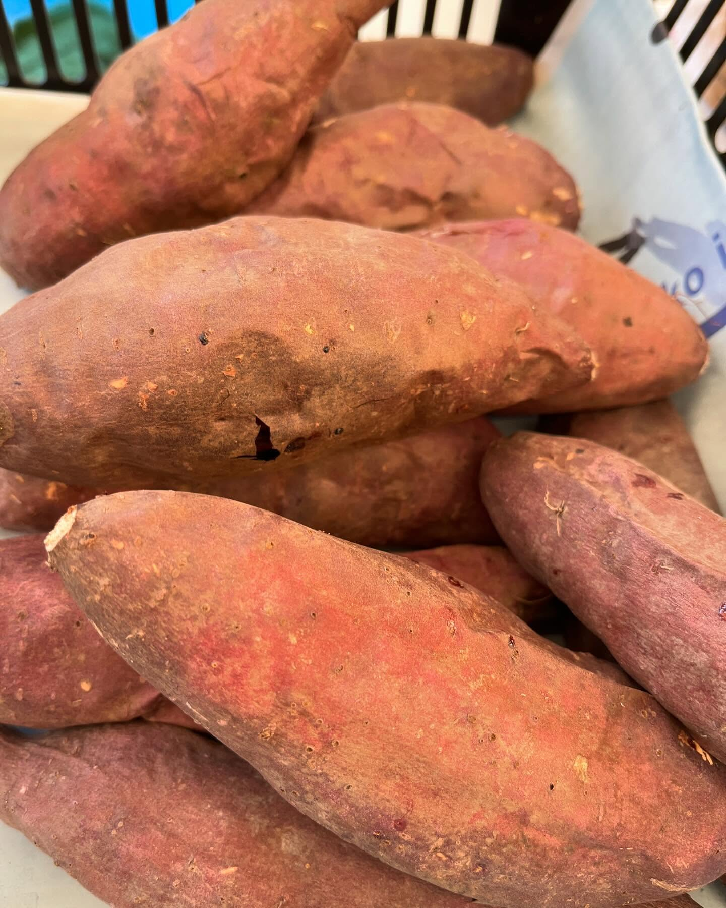 イベント開催🎪