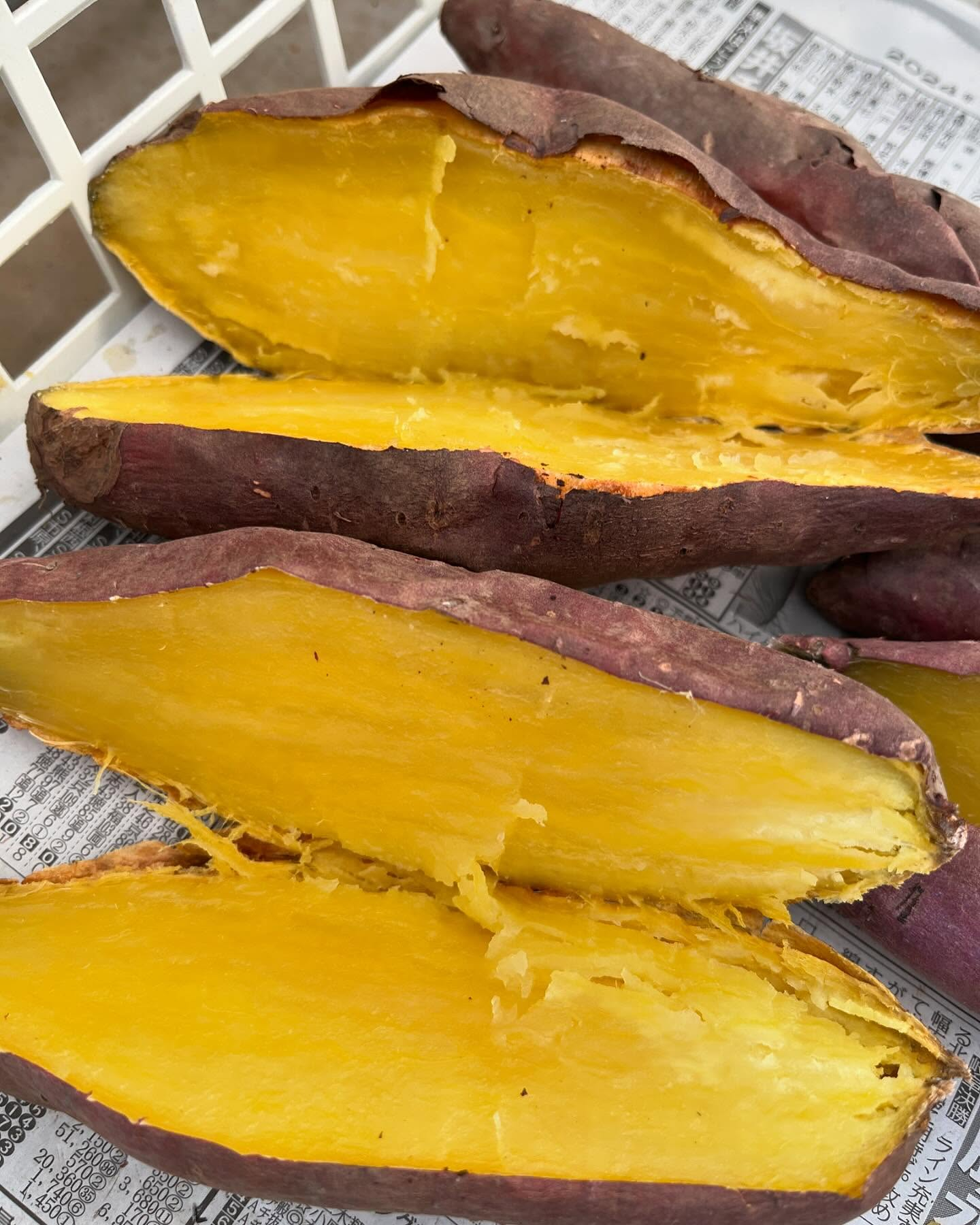 イベント開催🎪