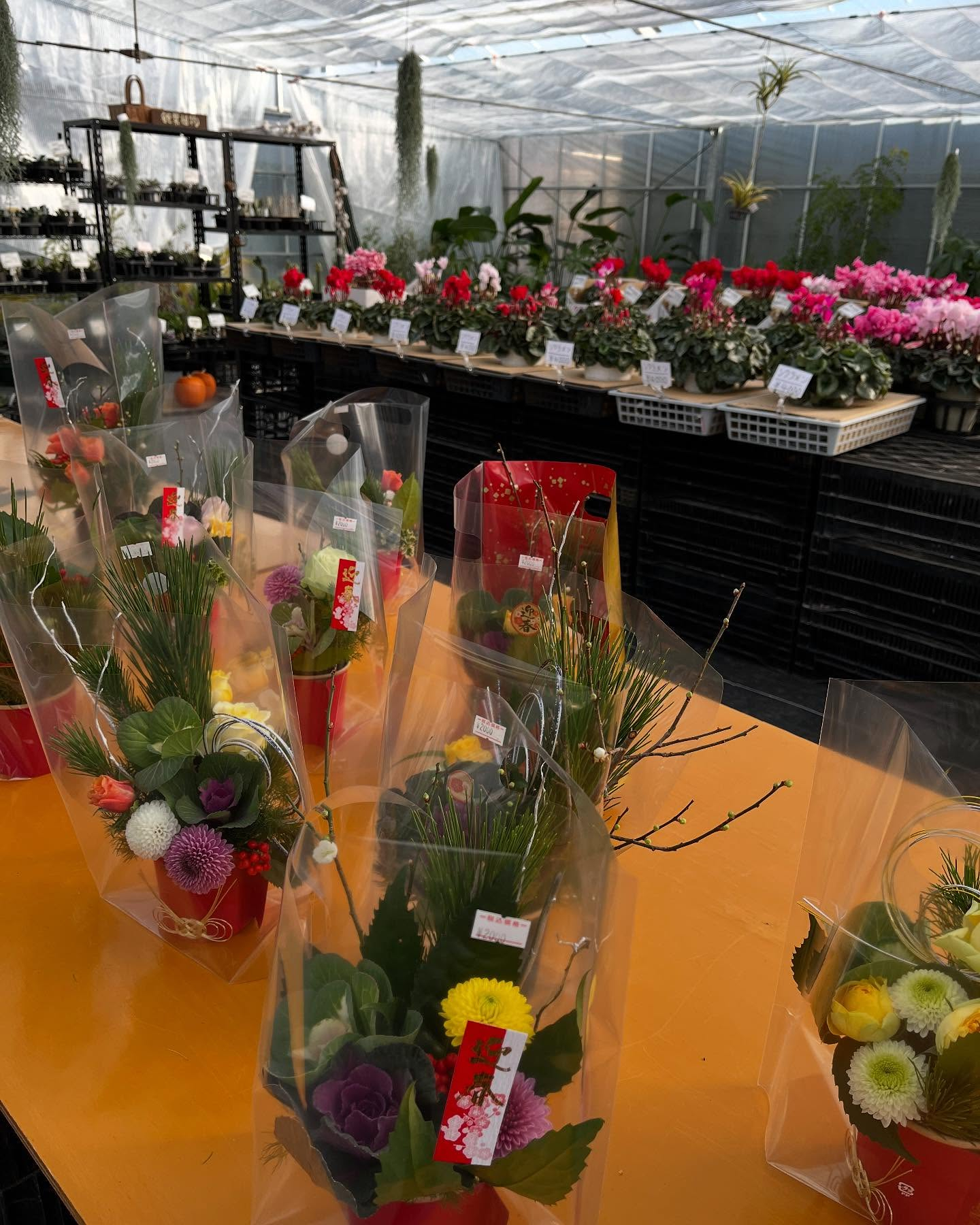 イベント開催中🎪