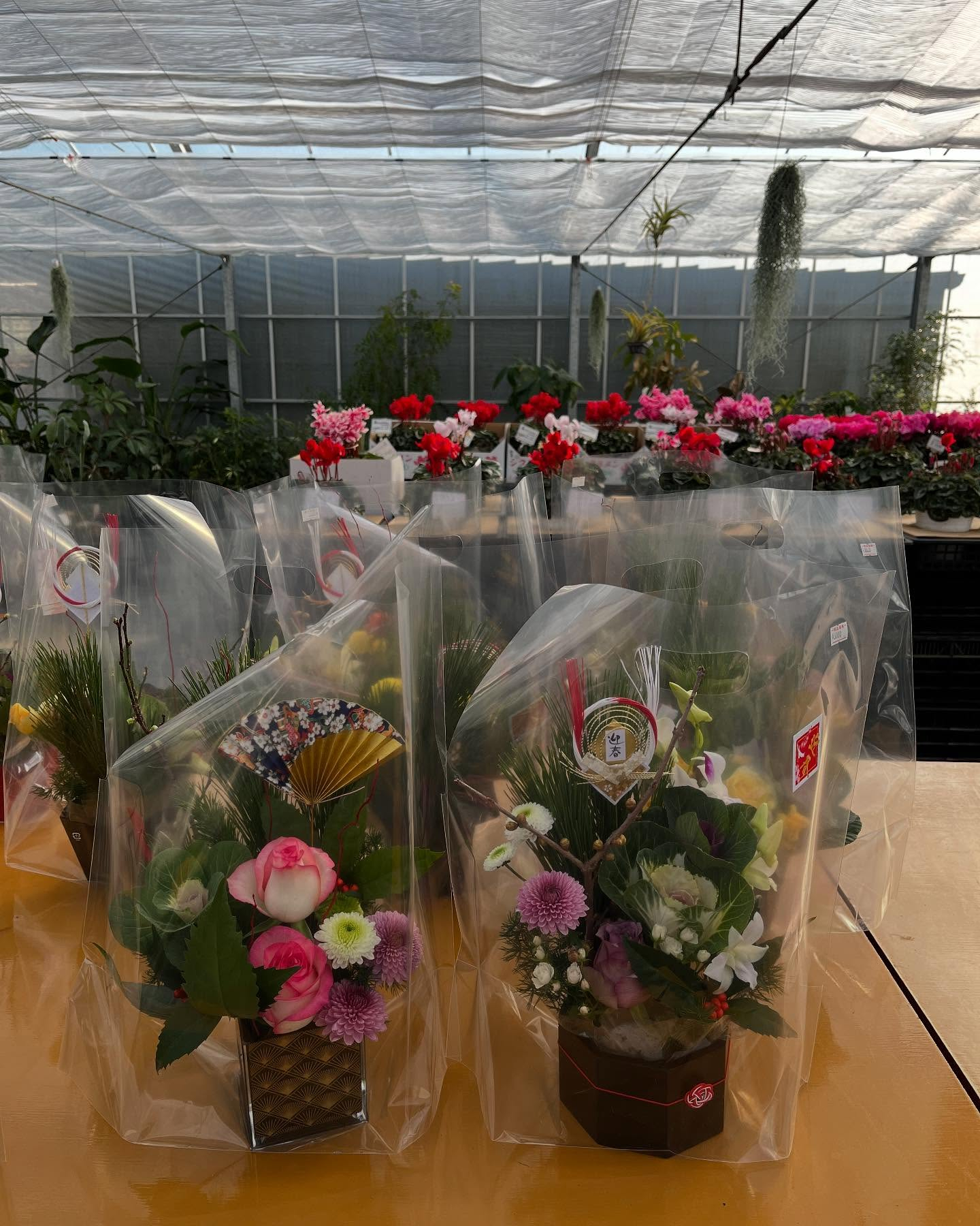 イベント開催中🎪