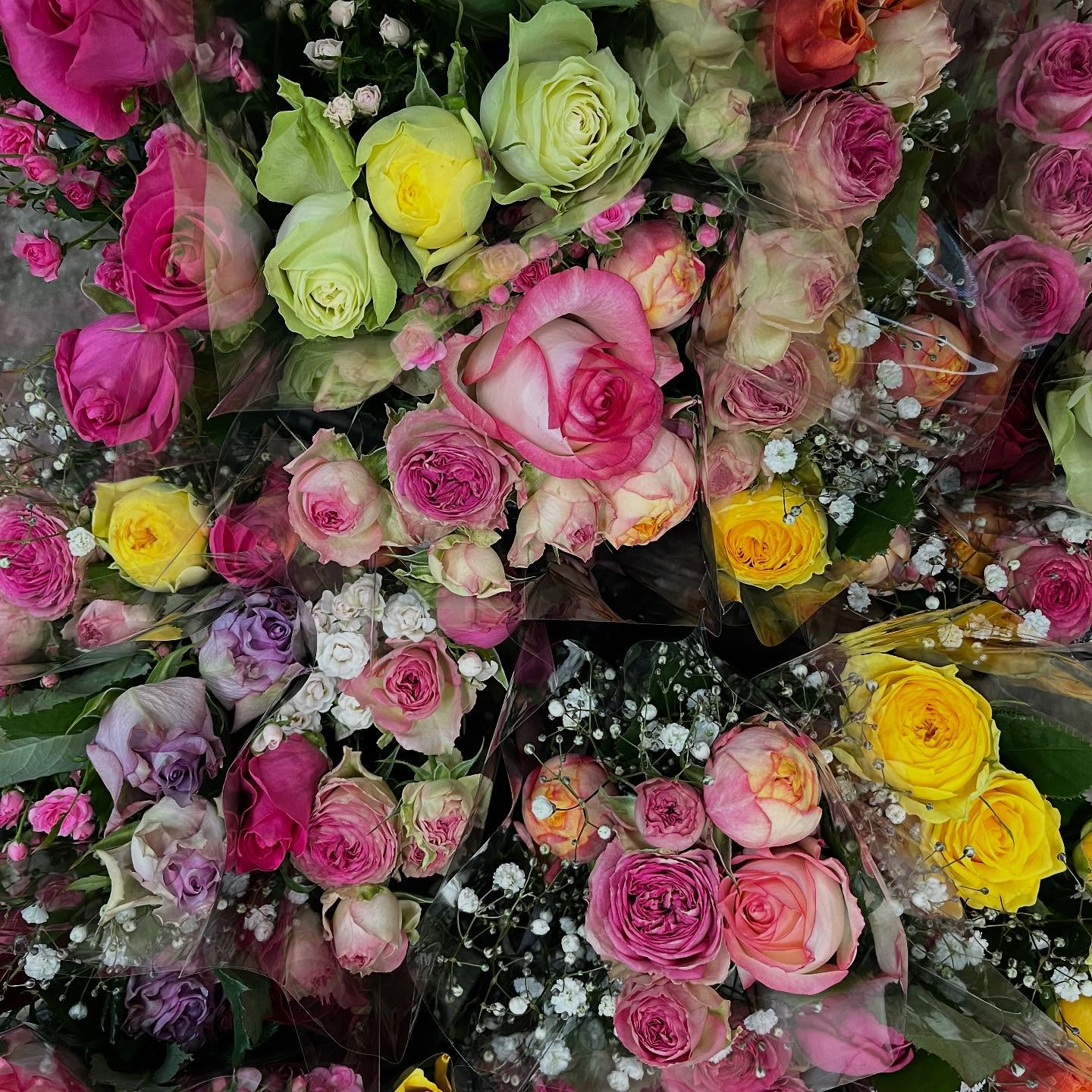 ハウスお店にしました🏠