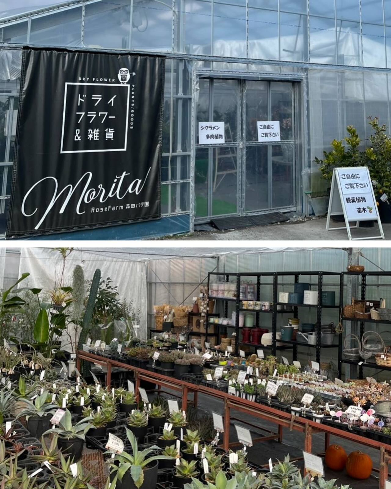 イベントのお知らせ🎪