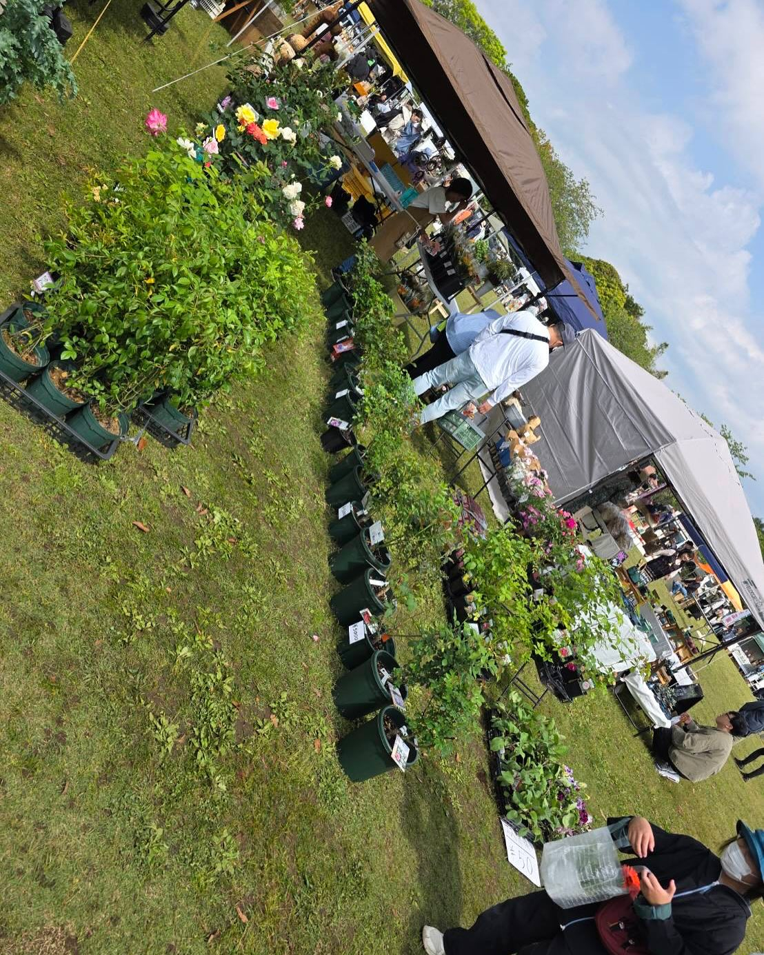 イベント出店中🎪
