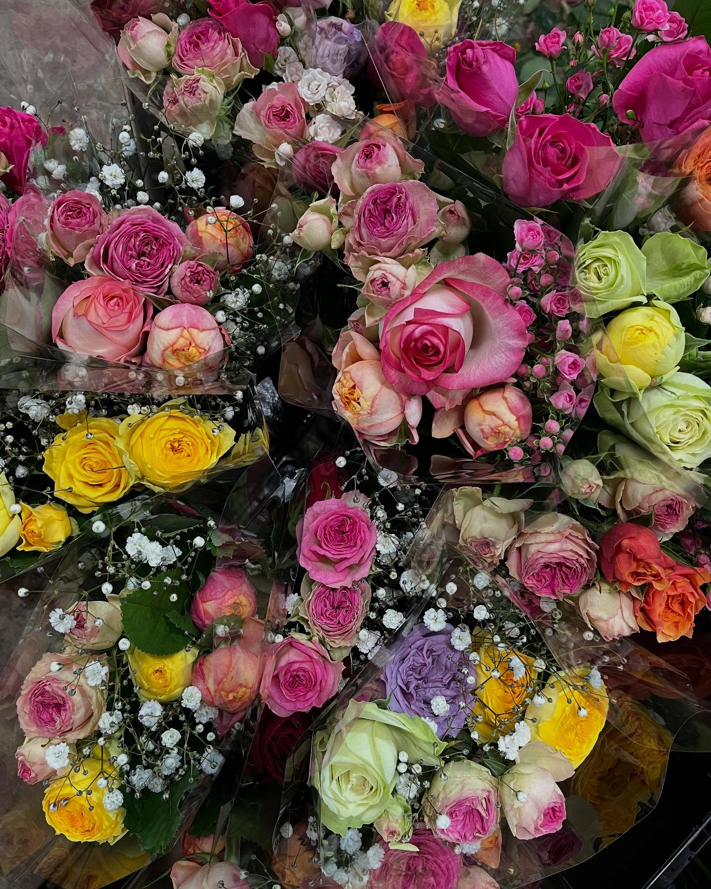 イベント出店中🎪