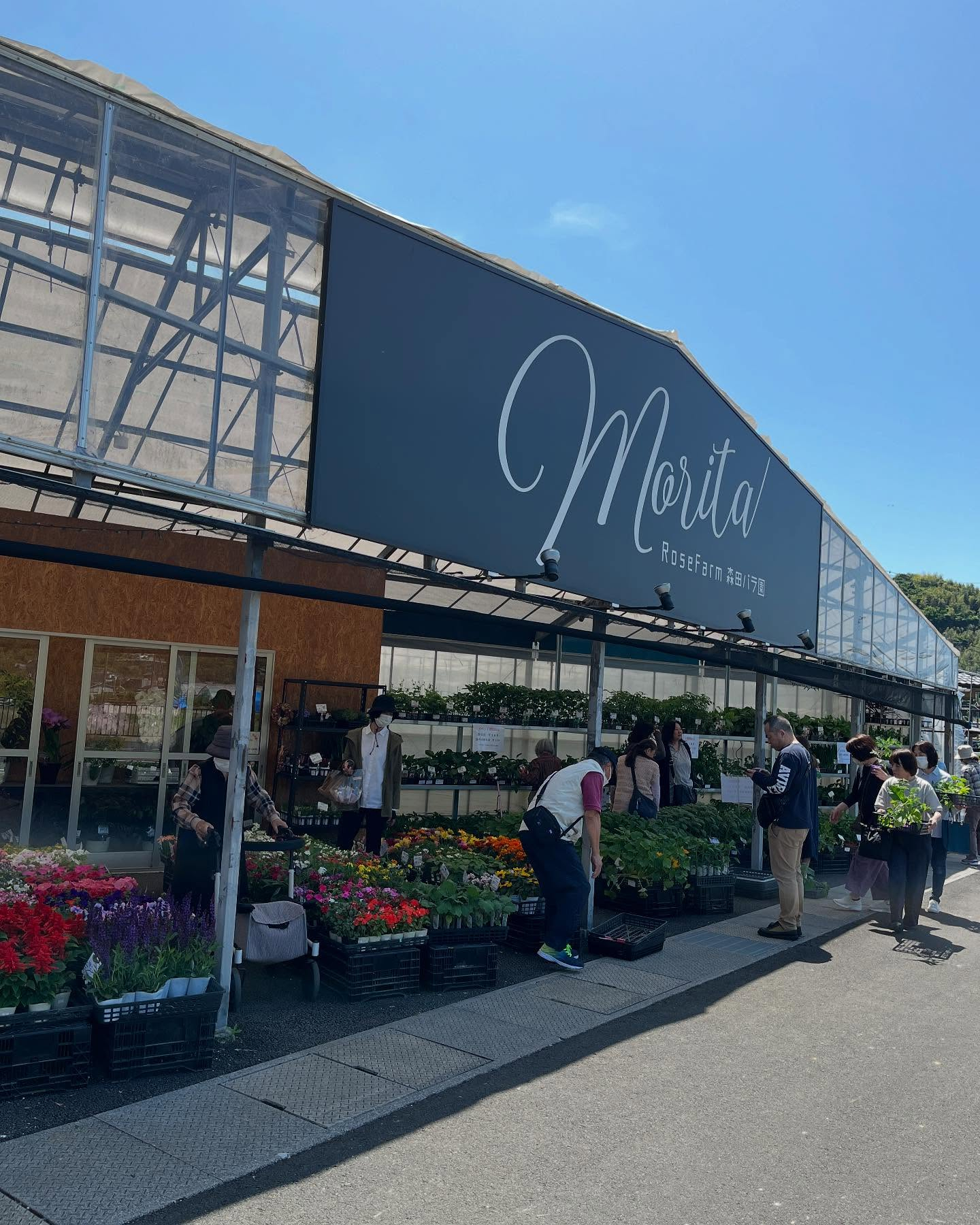 母の日イベント🎪