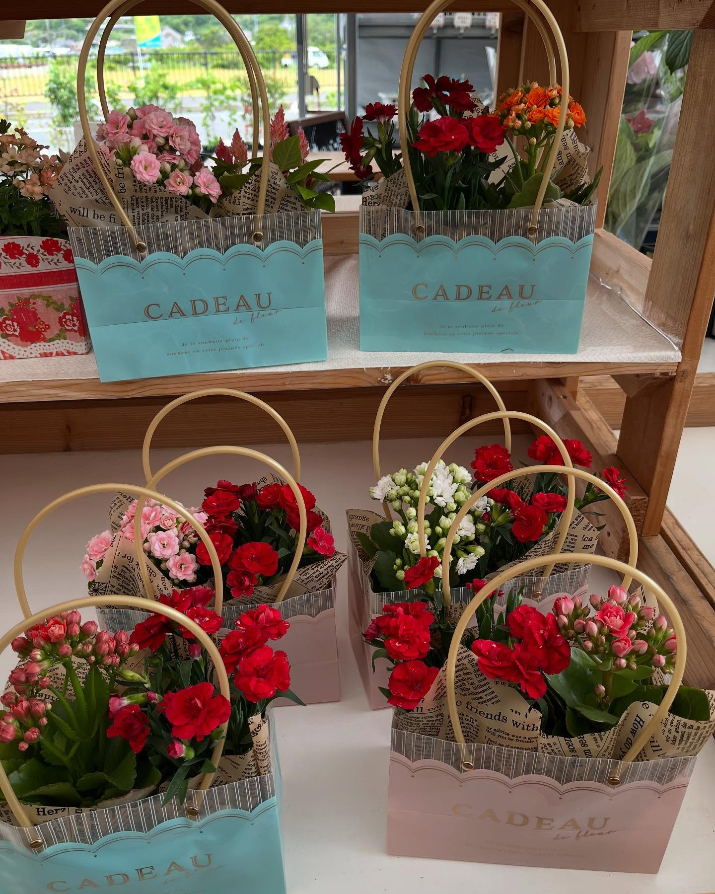 イベントのお知らせ🎪