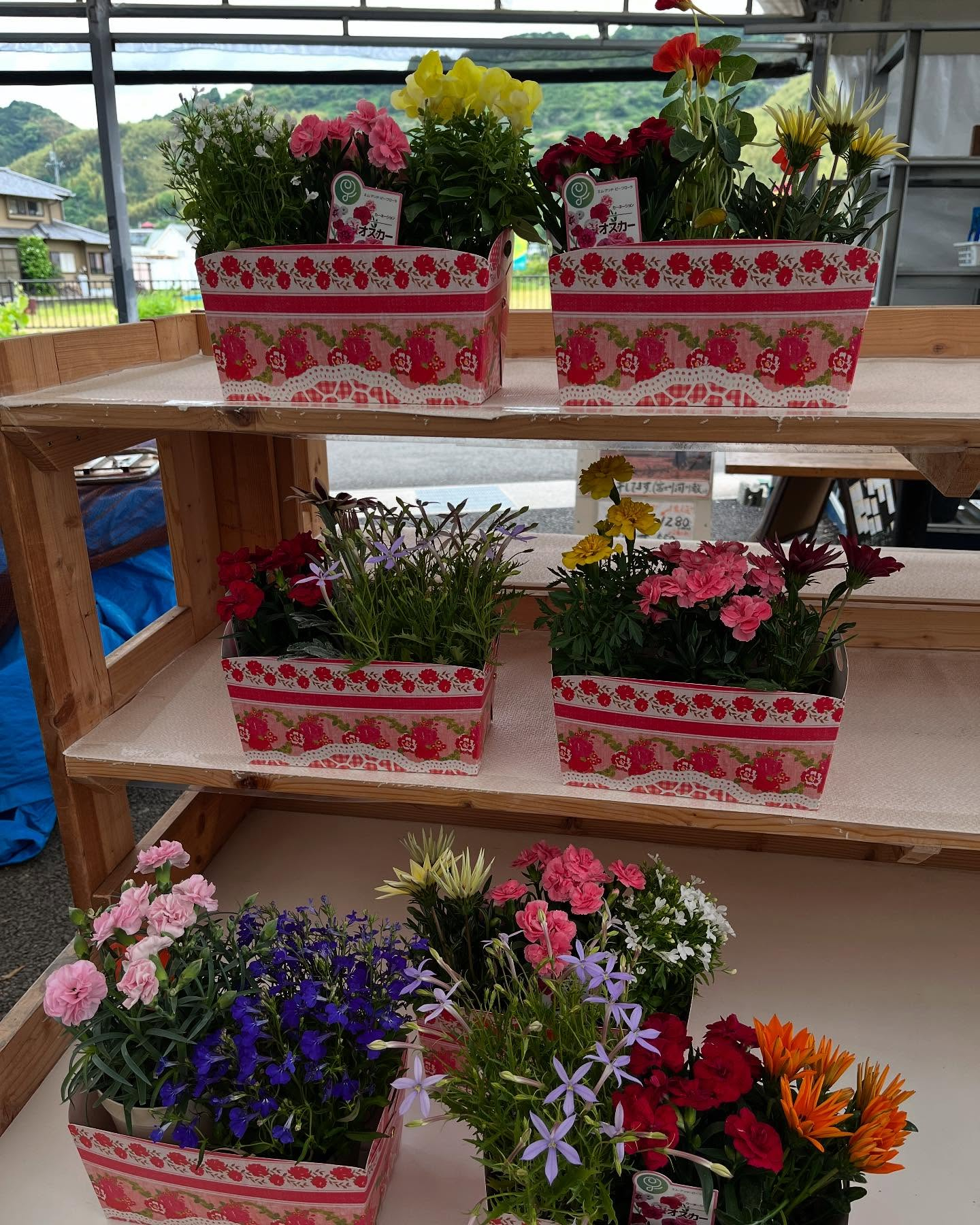 イベントのお知らせ🎪