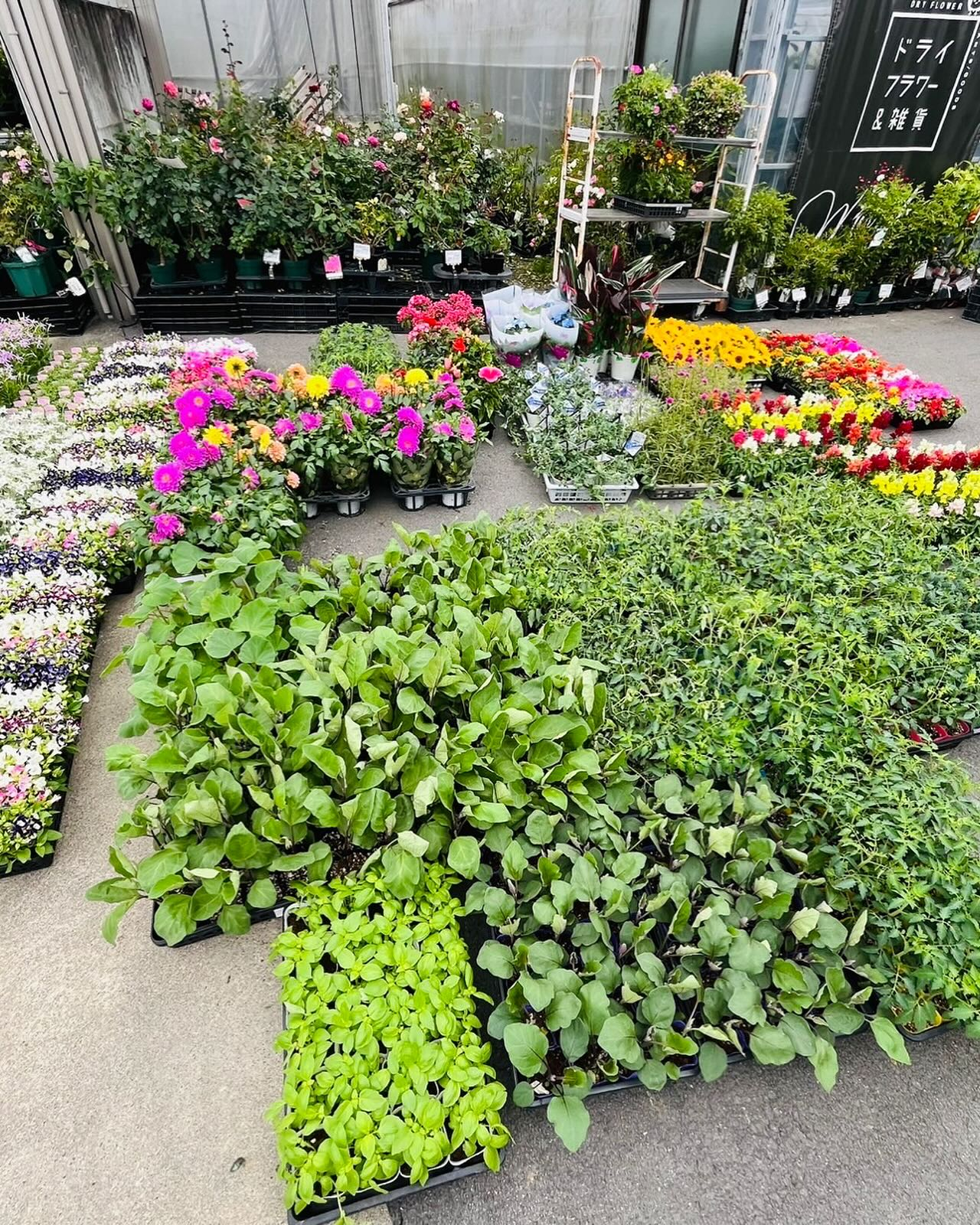 🉐入荷しました