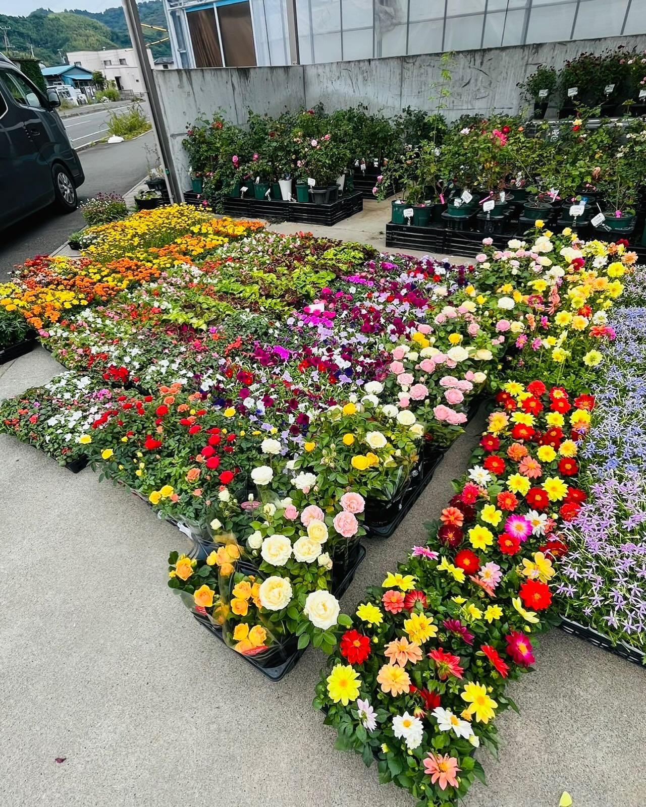 🉐入荷しました