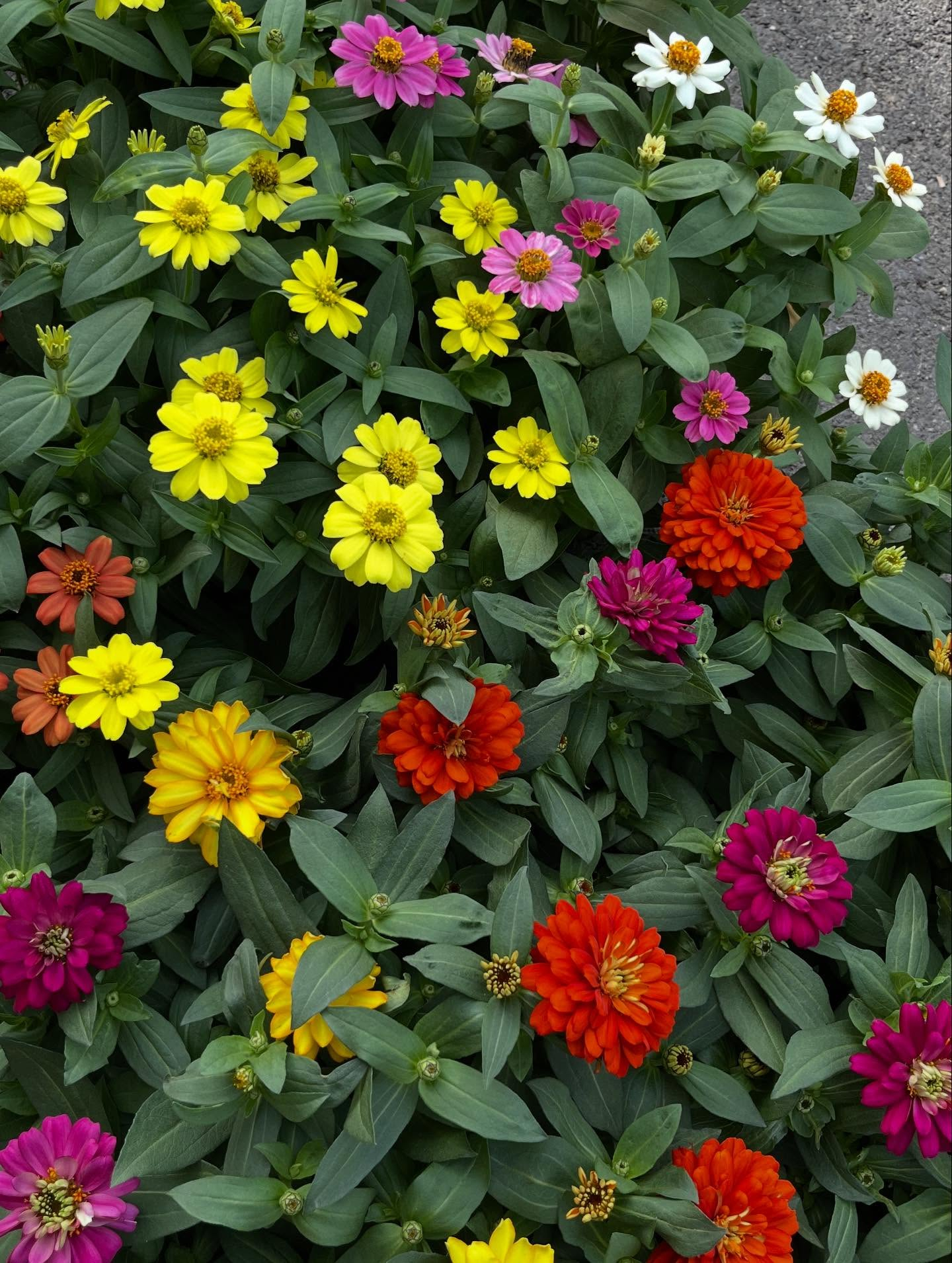 ✨️イベントのお知らせ✨️