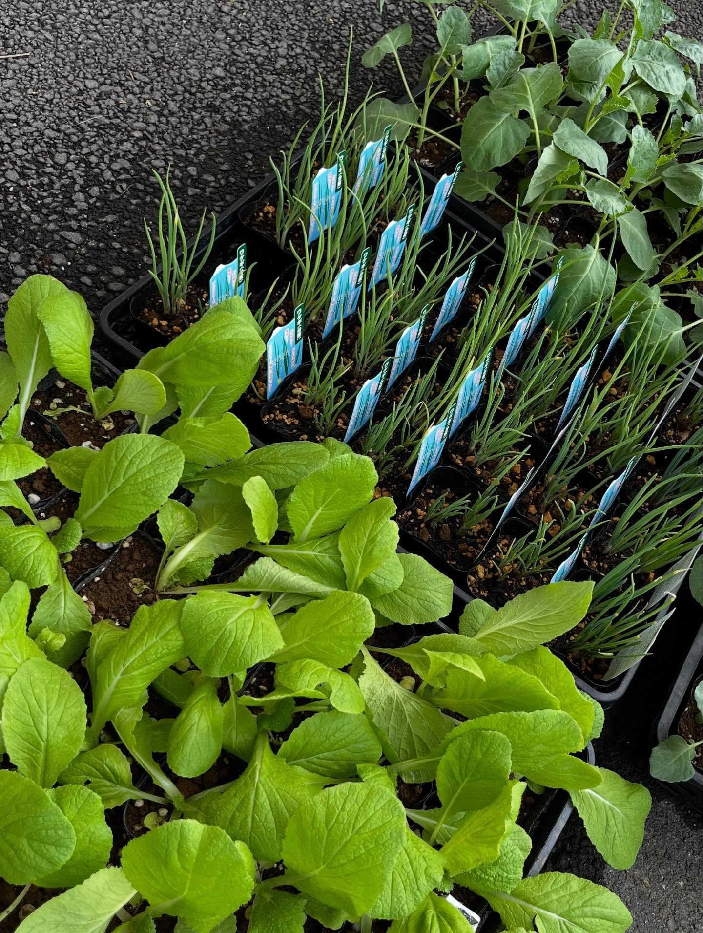 ✨️イベントのお知らせ✨️