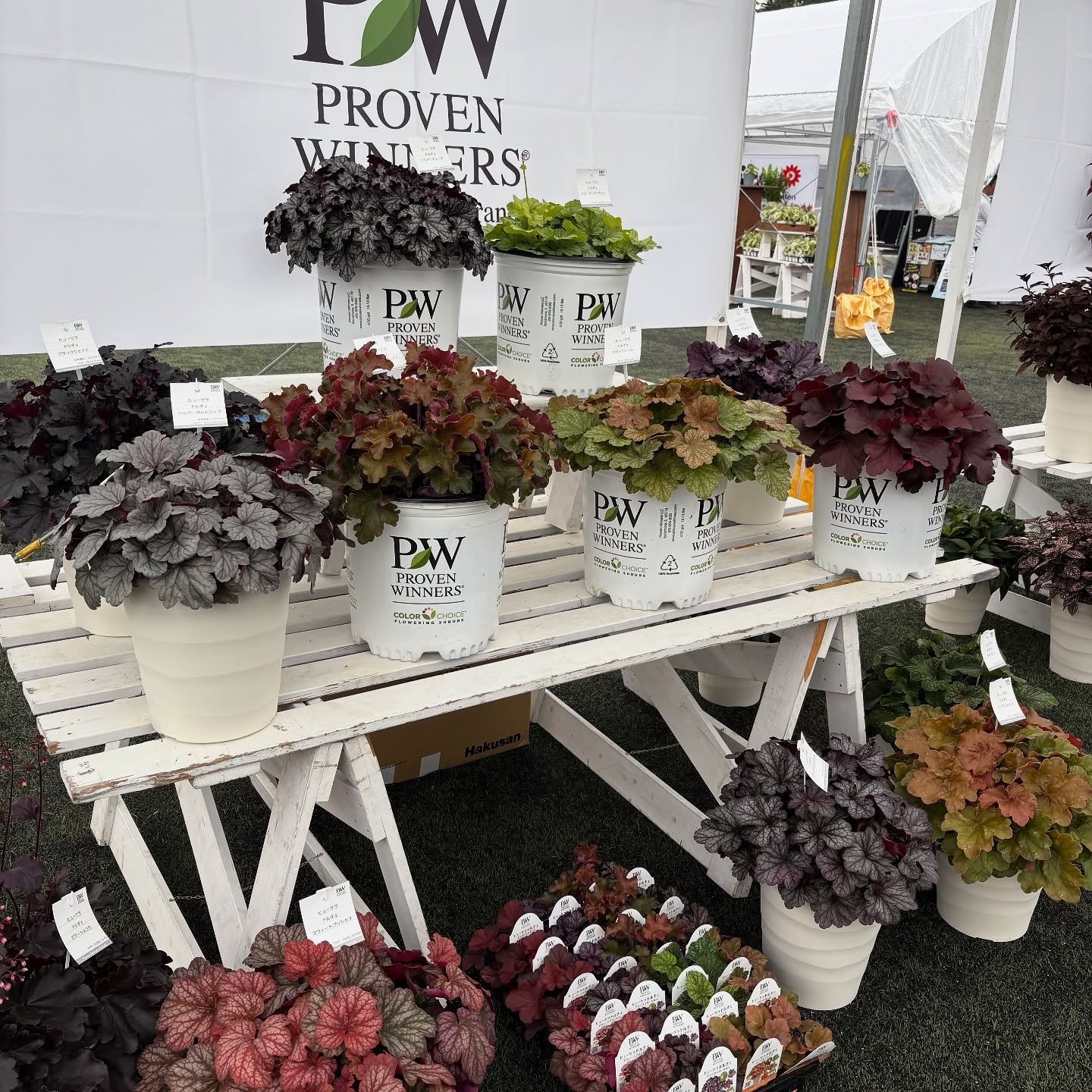 長野・山梨で開催されたフラワートライアルジャパンに行ってきま...