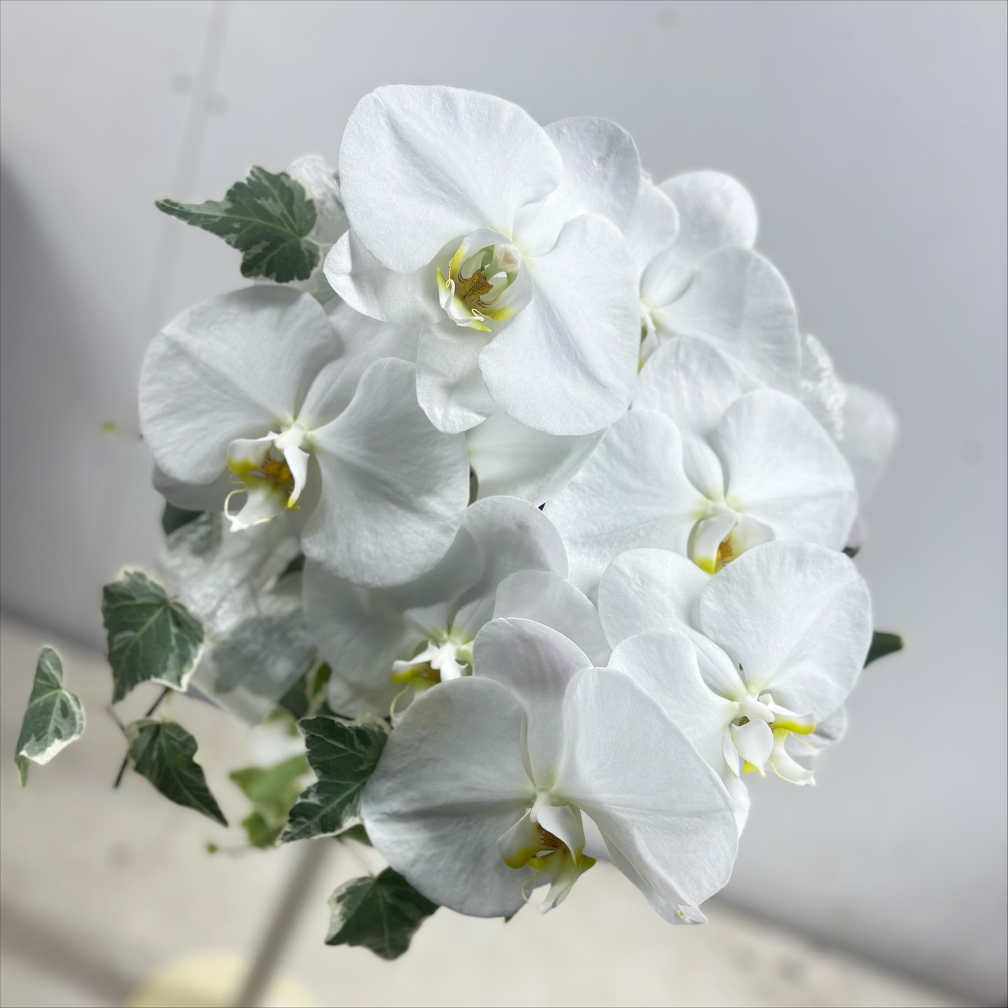 胡蝶蘭のブーケ、ブートニアを作りました！