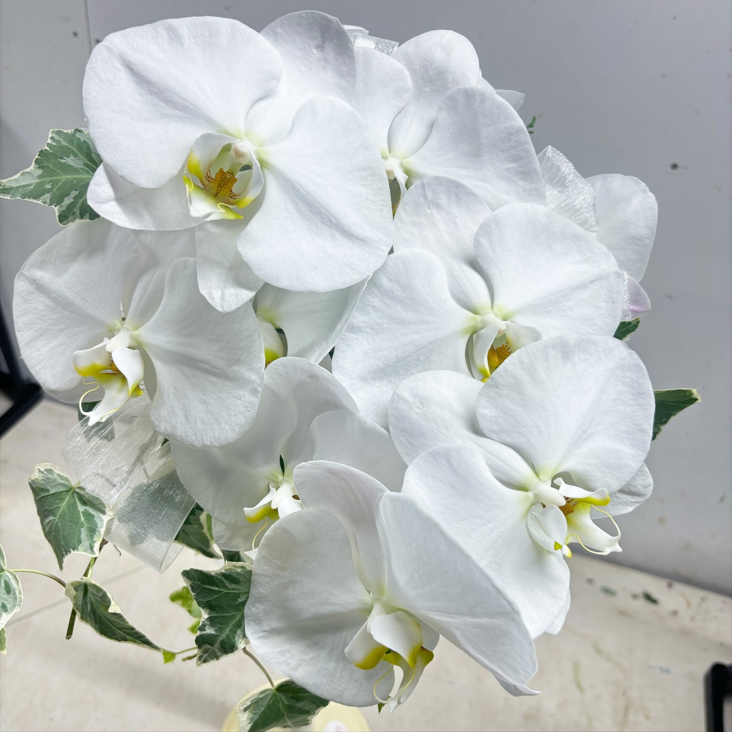 胡蝶蘭のブーケ、ブートニアを作りました！