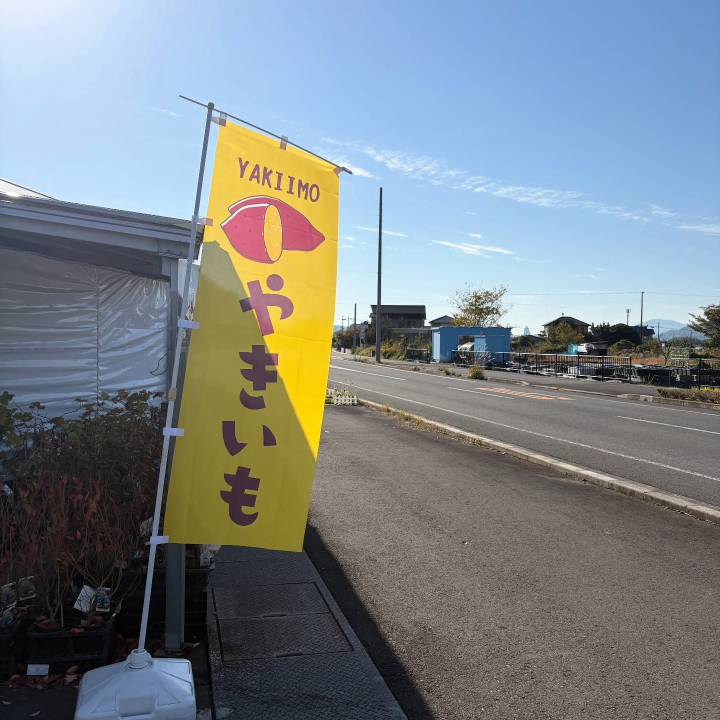 焼き芋の旗が新しくなりました🍠