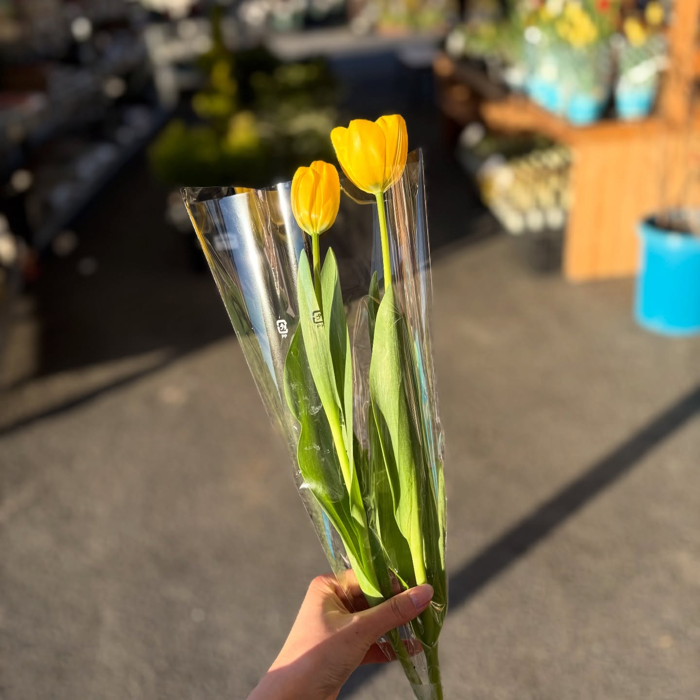 花束販売中です❕💐