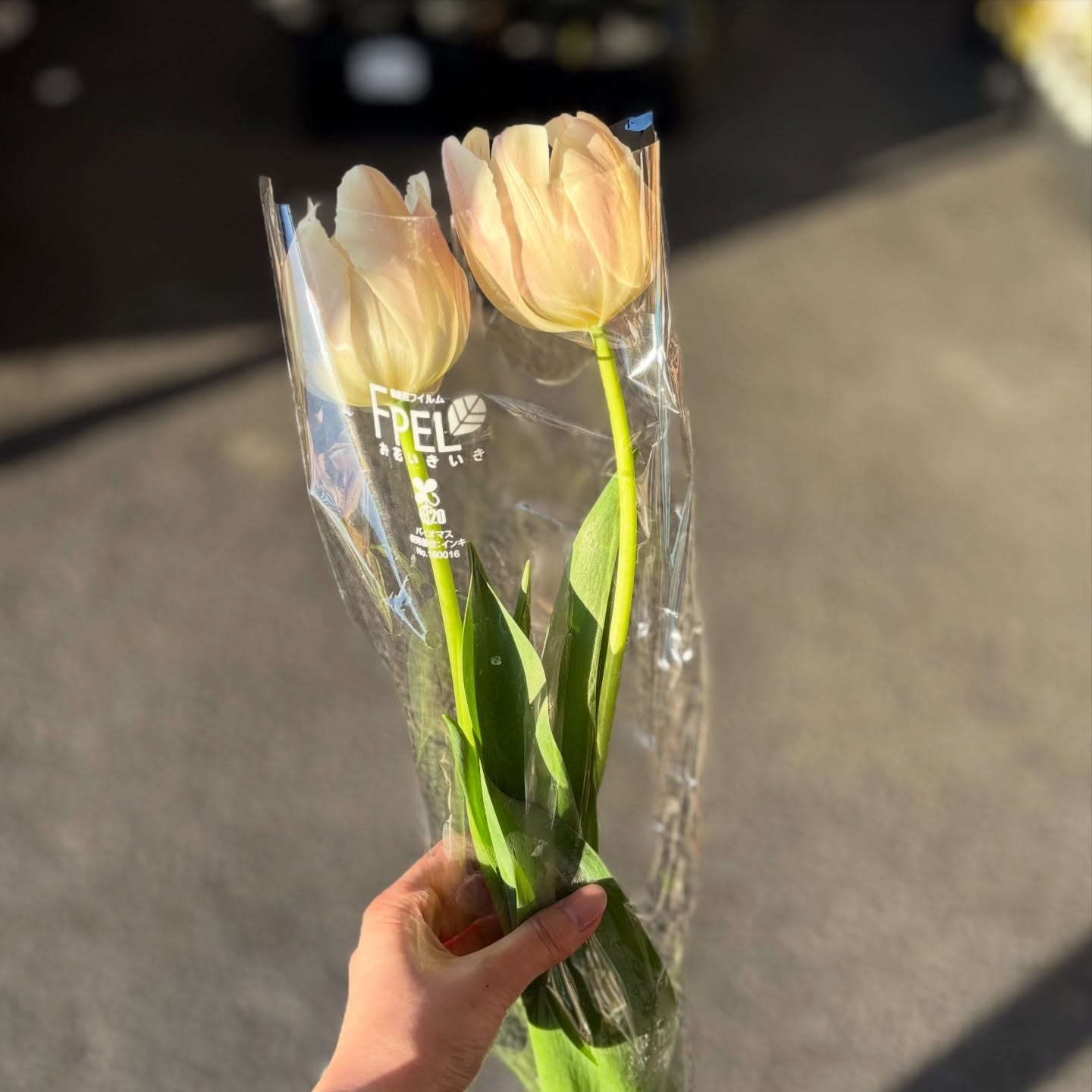 花束販売中です❕💐