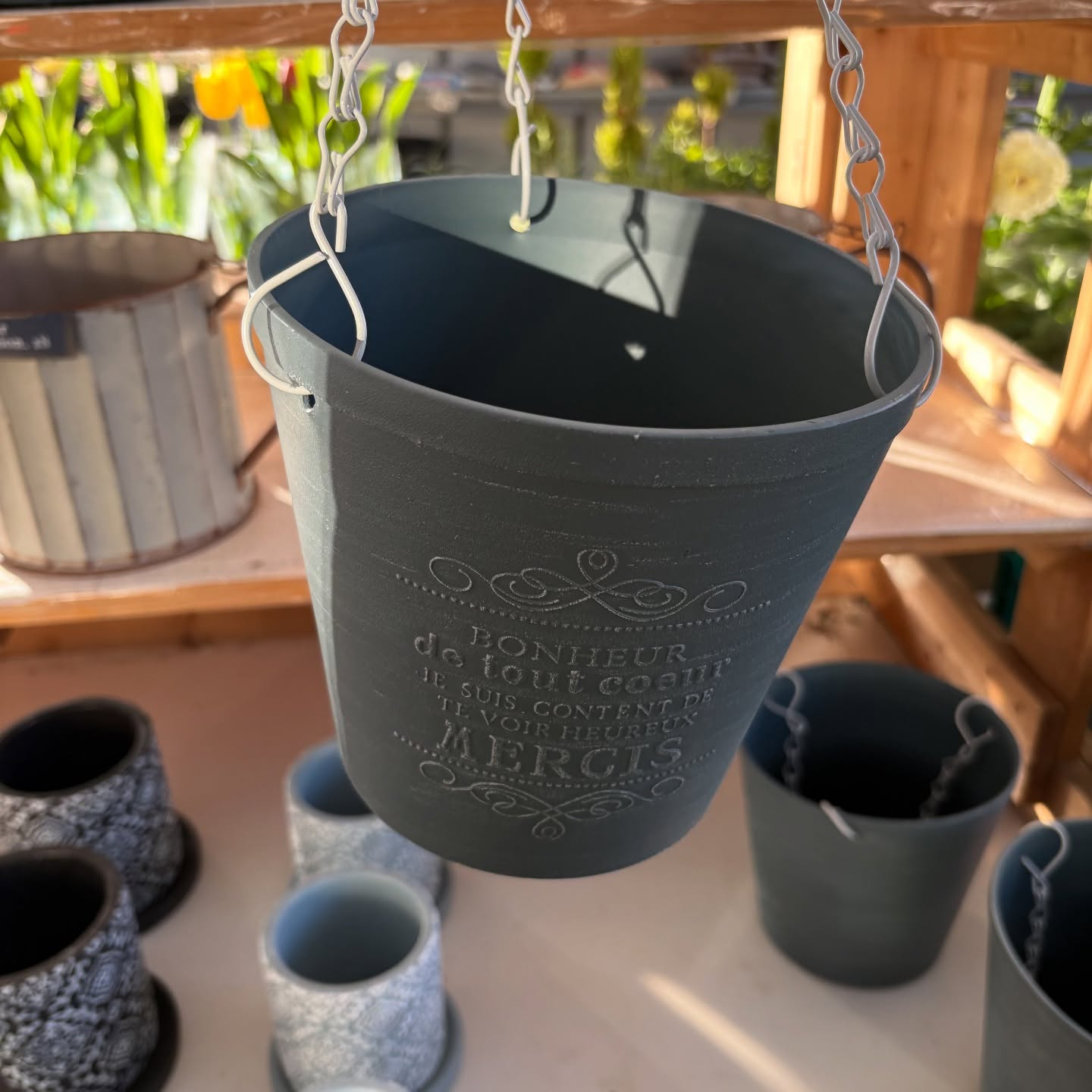 鉢など沢山入荷しました🐢✨