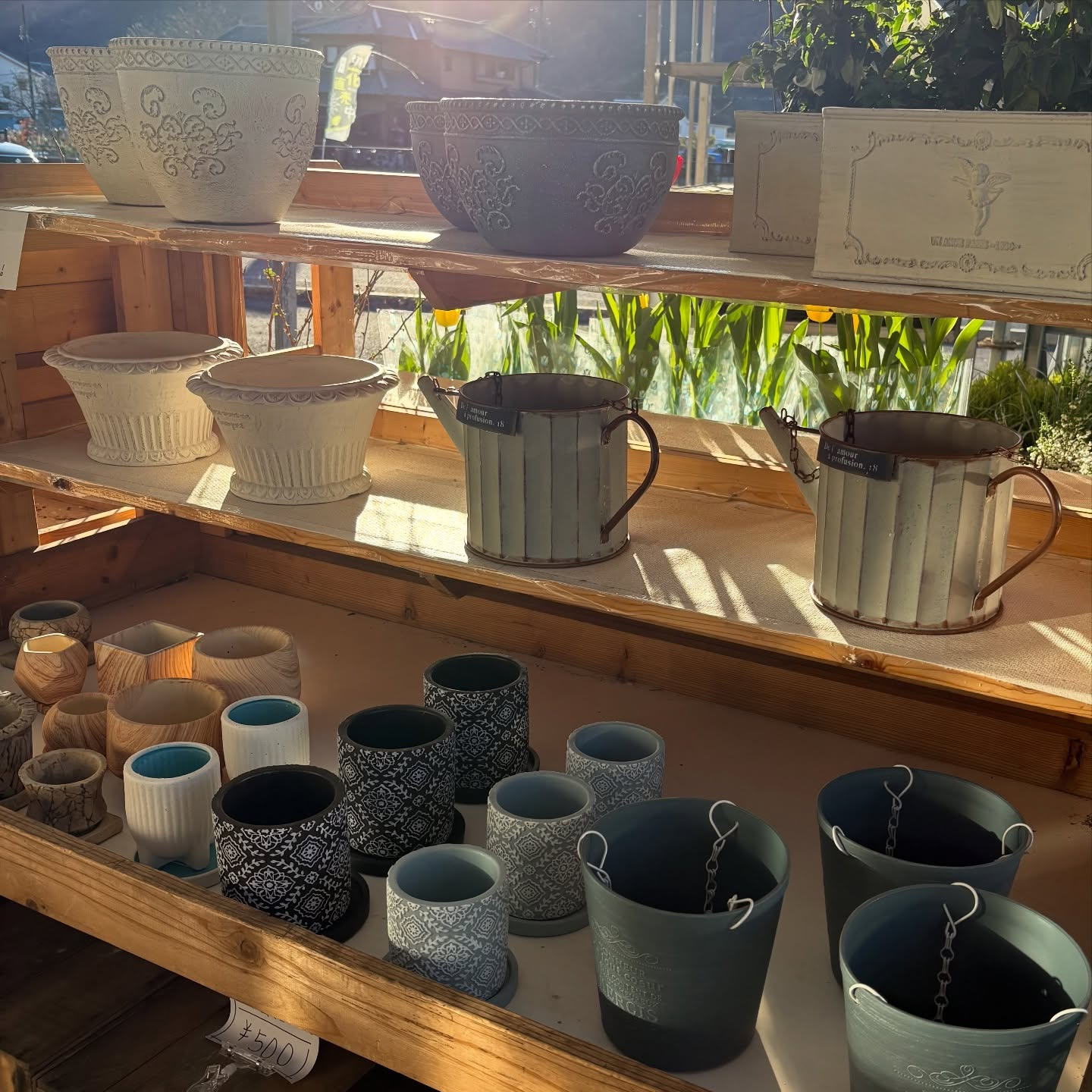 鉢など沢山入荷しました🐢✨