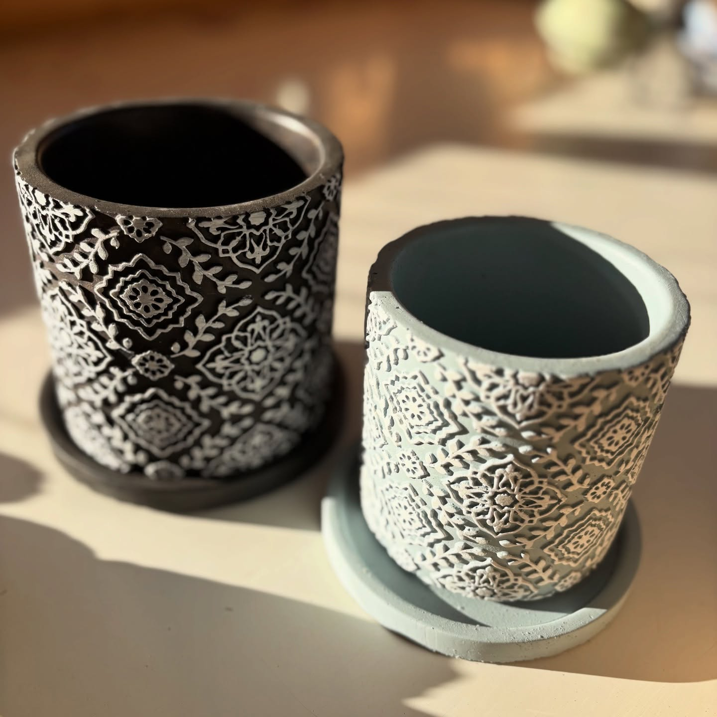 鉢など沢山入荷しました🐢✨