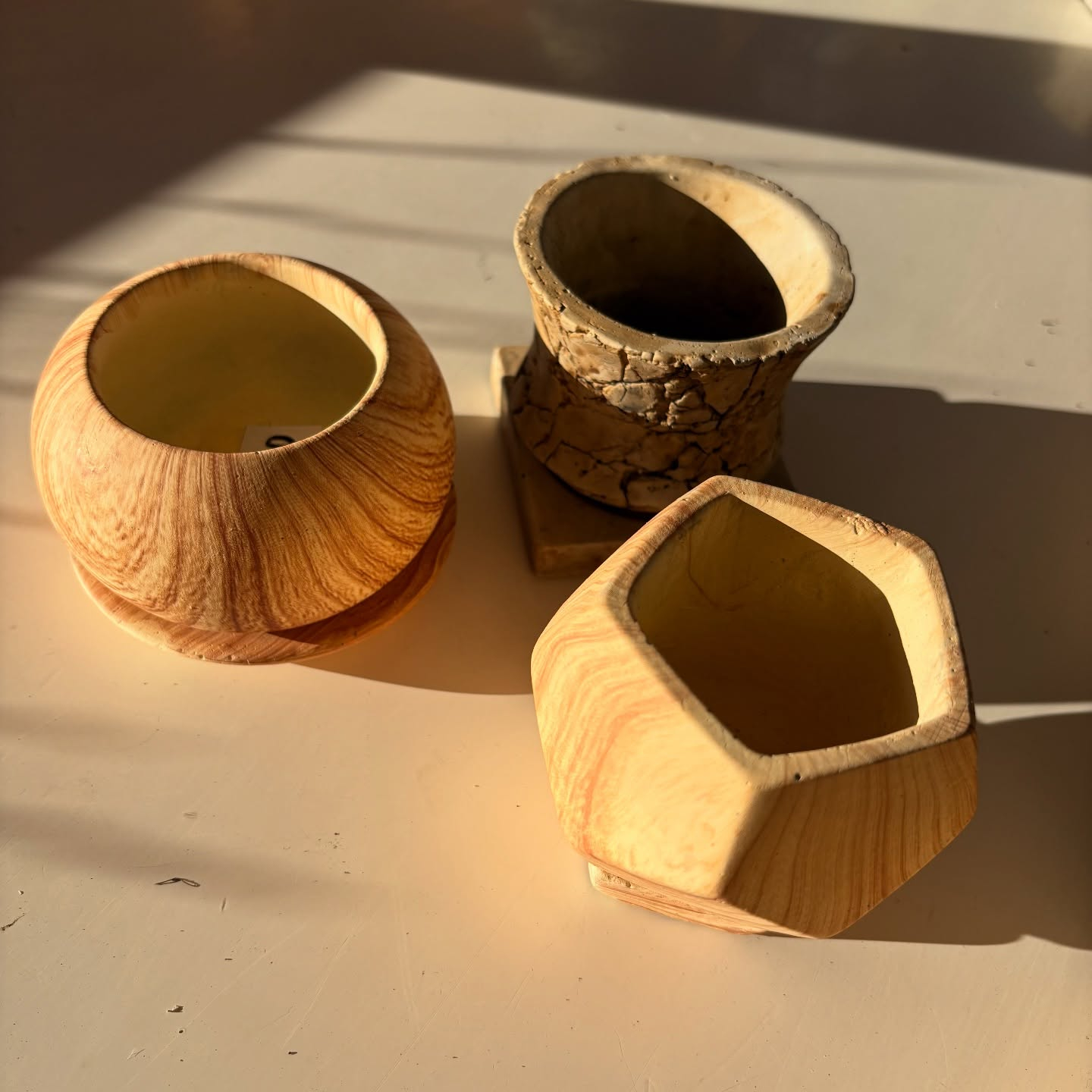 鉢など沢山入荷しました🐢✨