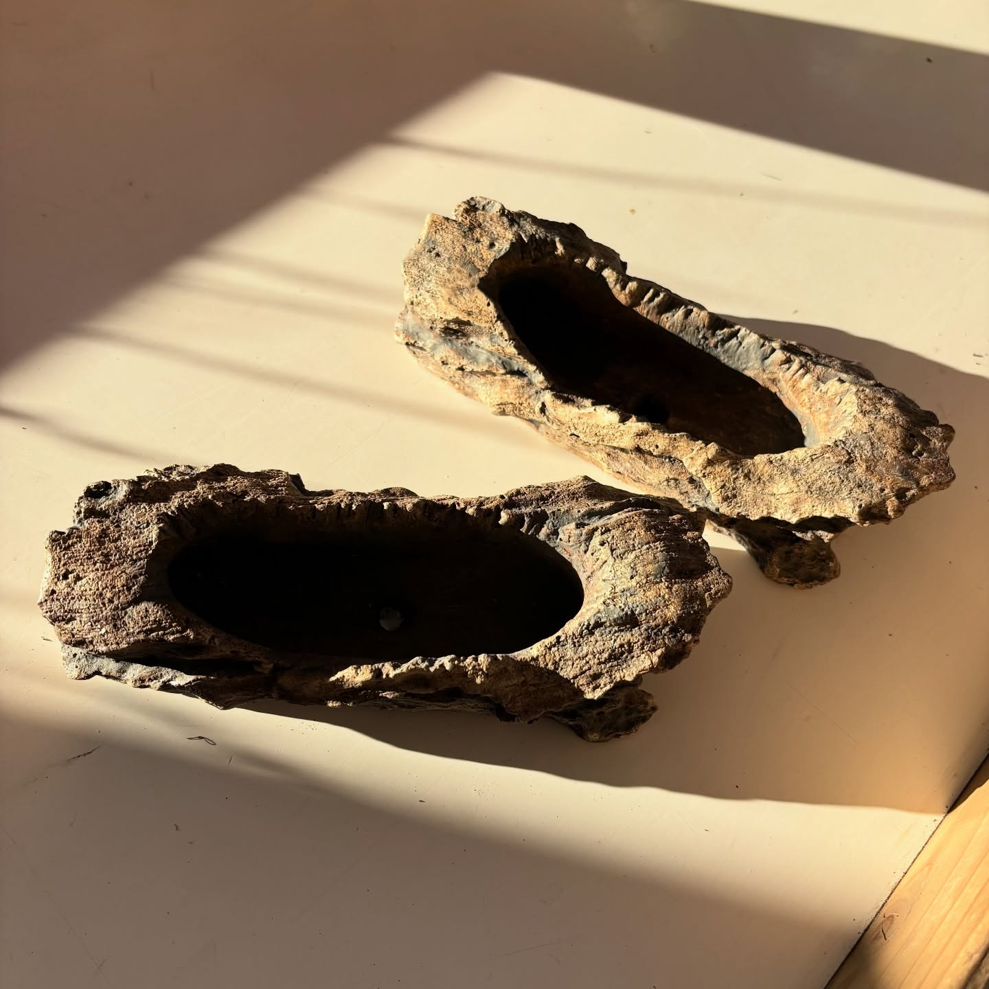 鉢など沢山入荷しました🐢✨