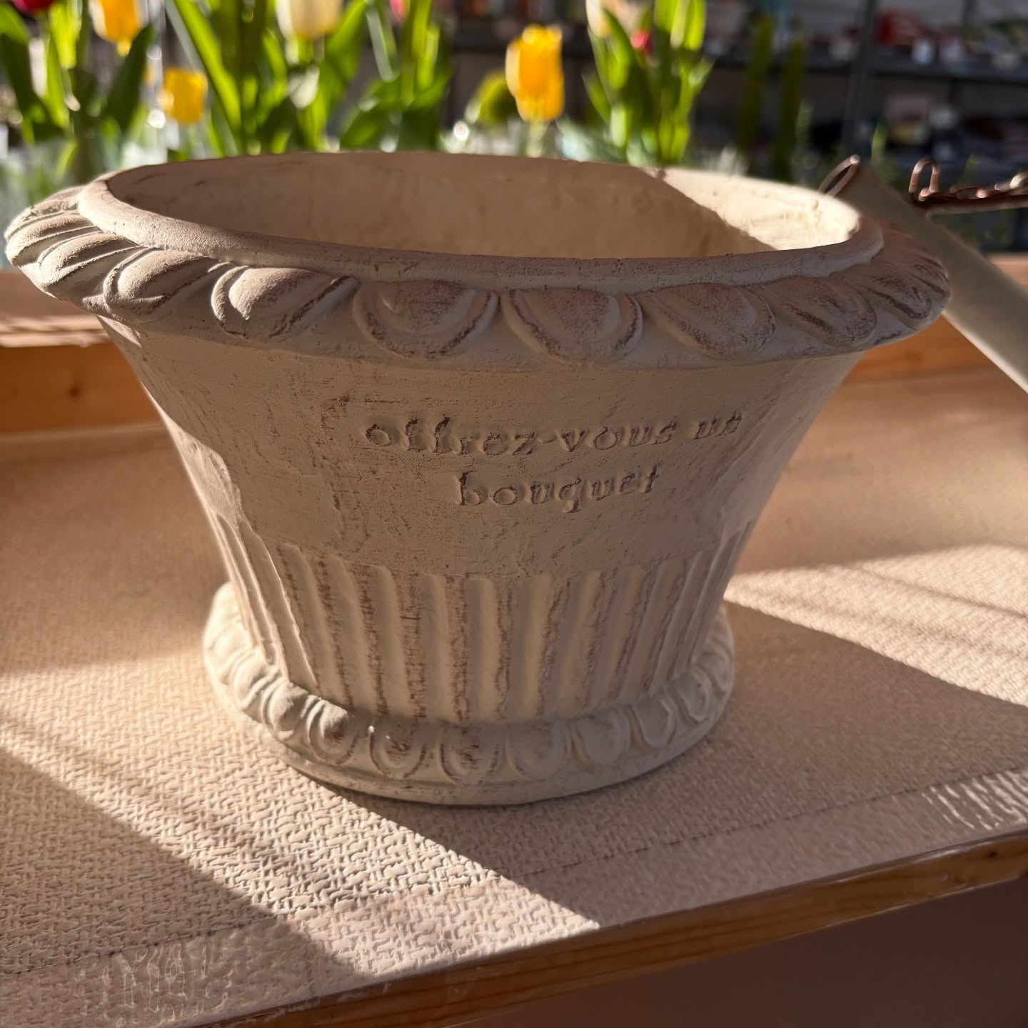 鉢など沢山入荷しました🐢✨