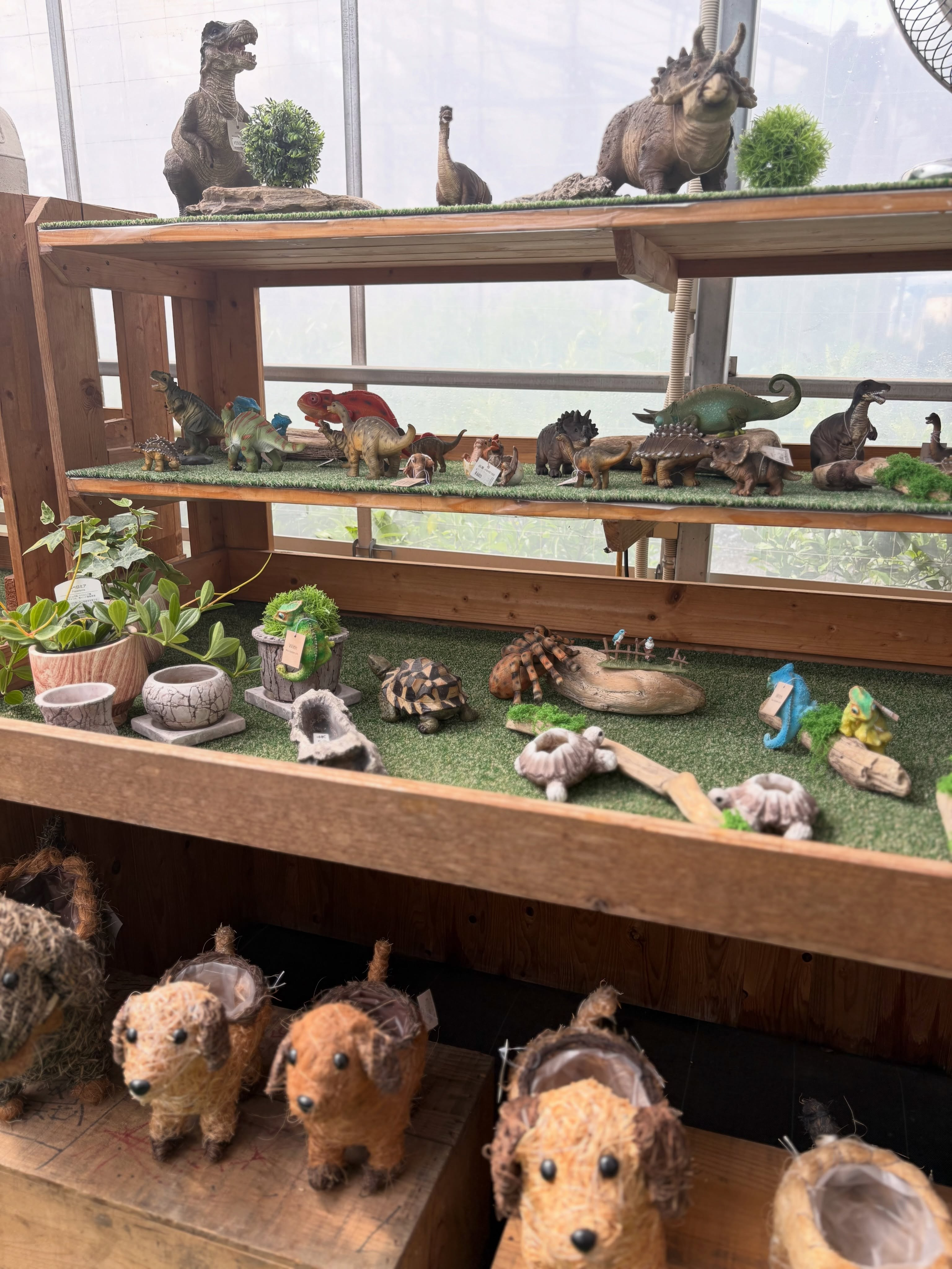 鉢カバー付き観葉植物や、寄せ植えセットなどいろいろ販売中です...