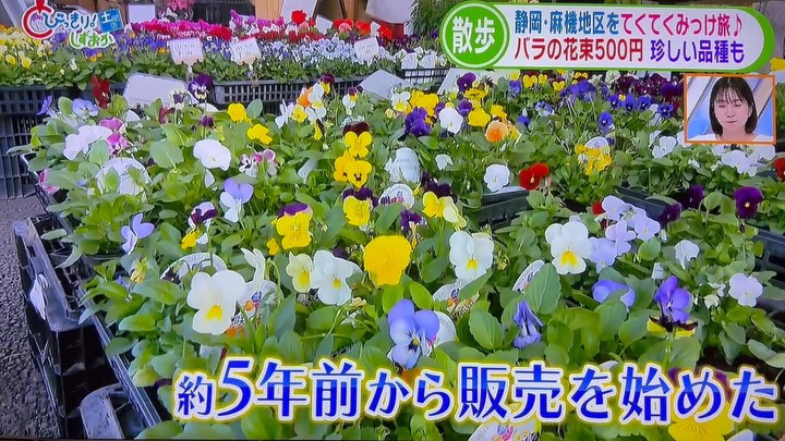 先日とびっきり！しずおか土曜版でご紹介いただきました！見てく...