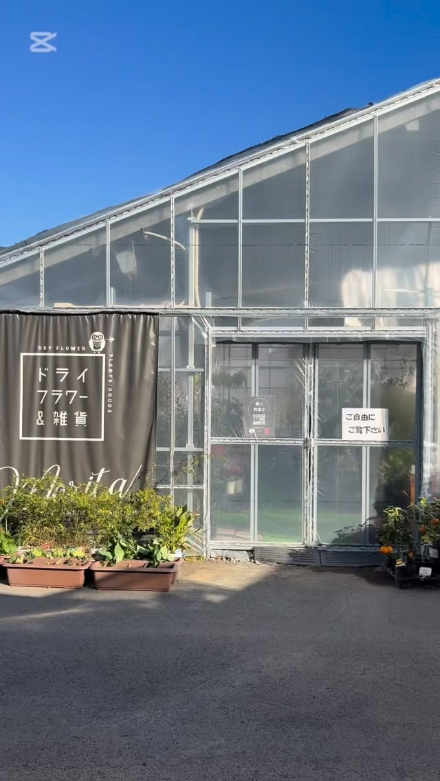 お店の左側にある温室をご紹介します！