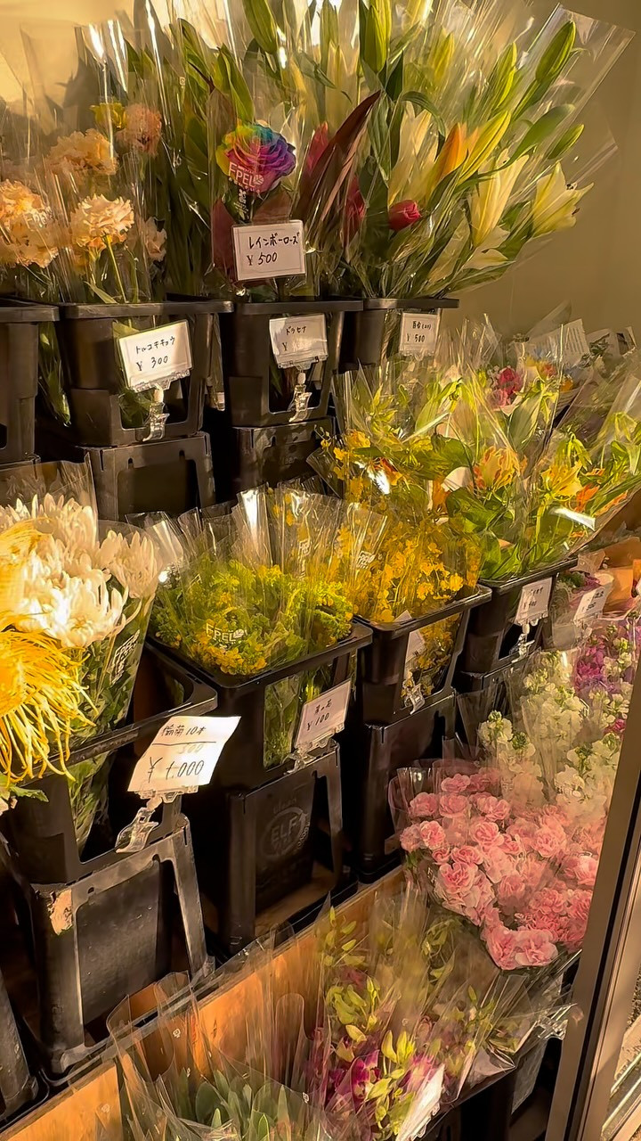切花沢山あります✨