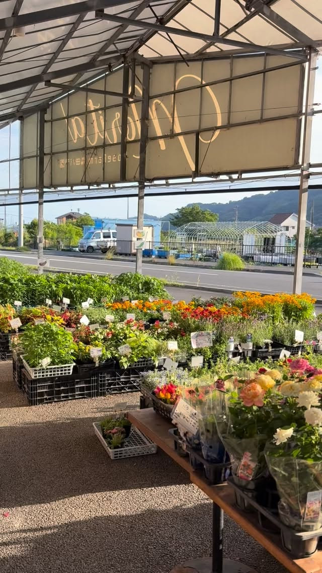 🌞暑くなってきましたね！